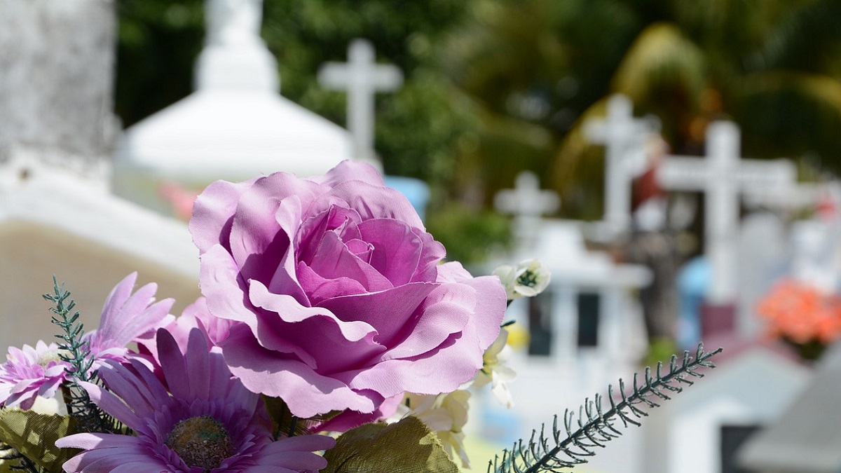 Conosce il fratellino neonato per poche ore. Al funerale indossa un abito con le sue foto