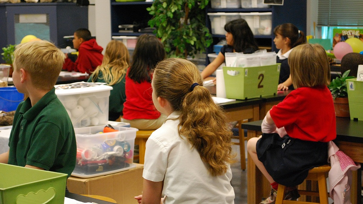 Modena, allarme scabbia a scuola: due nuovi casi dopo i quattro segnalati a ottobre