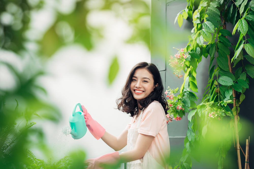 Piante da frutto in vaso: le più belle per il tuo balcone