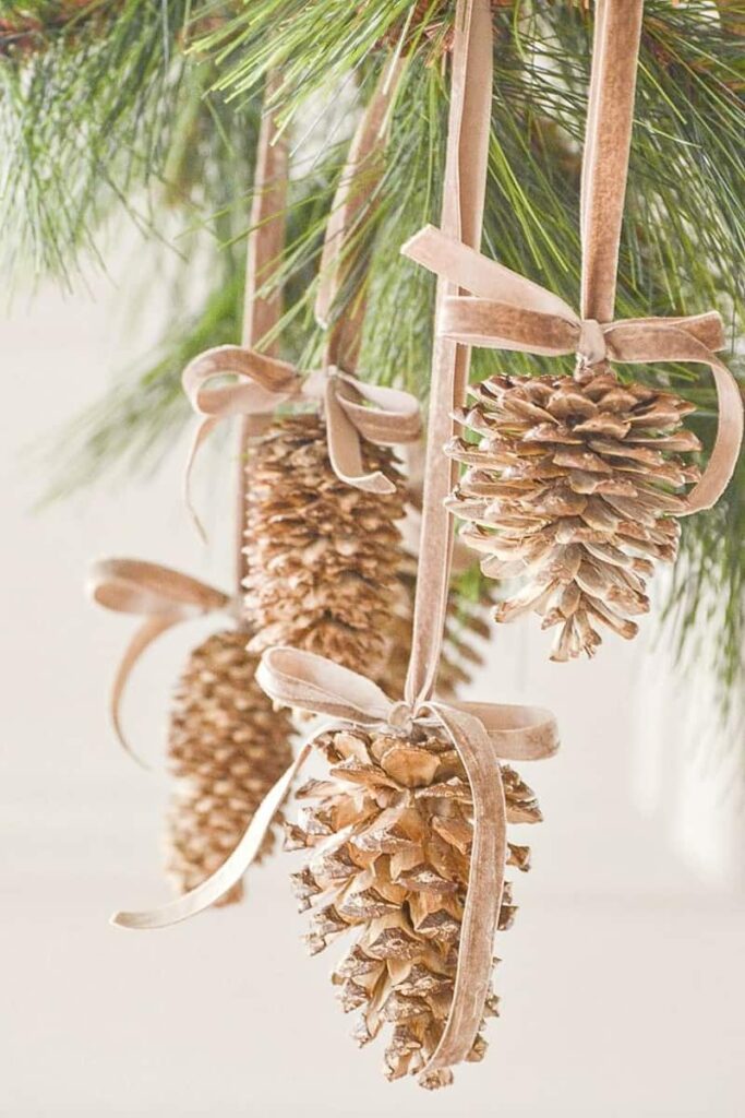 pigne decorazione per albero di Natale