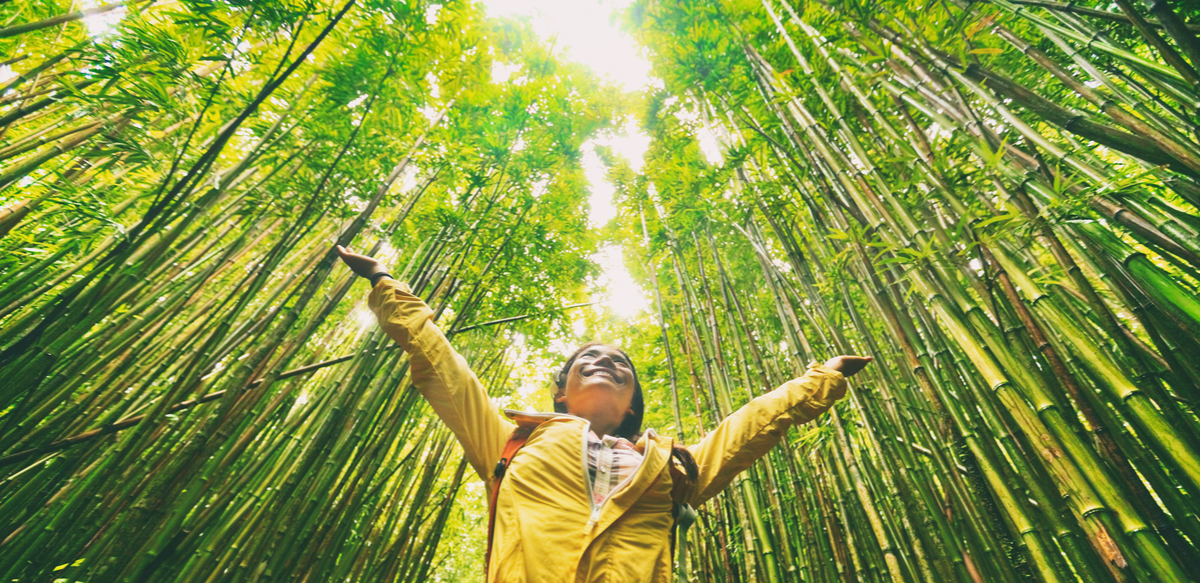 Donna in una foresta verde