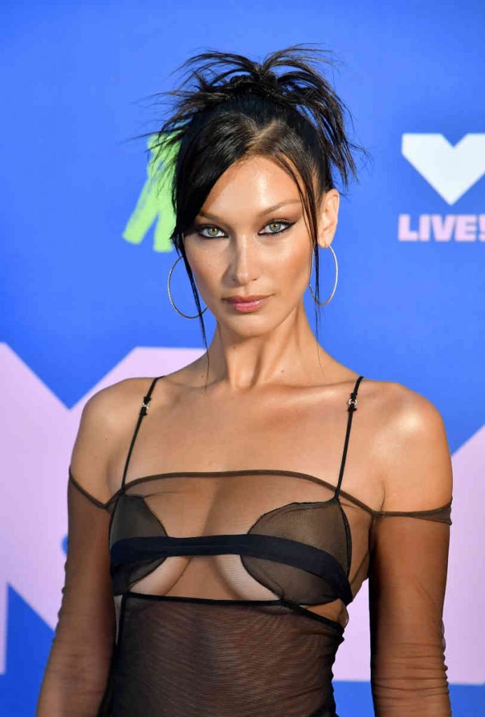 bella hadid ponytail