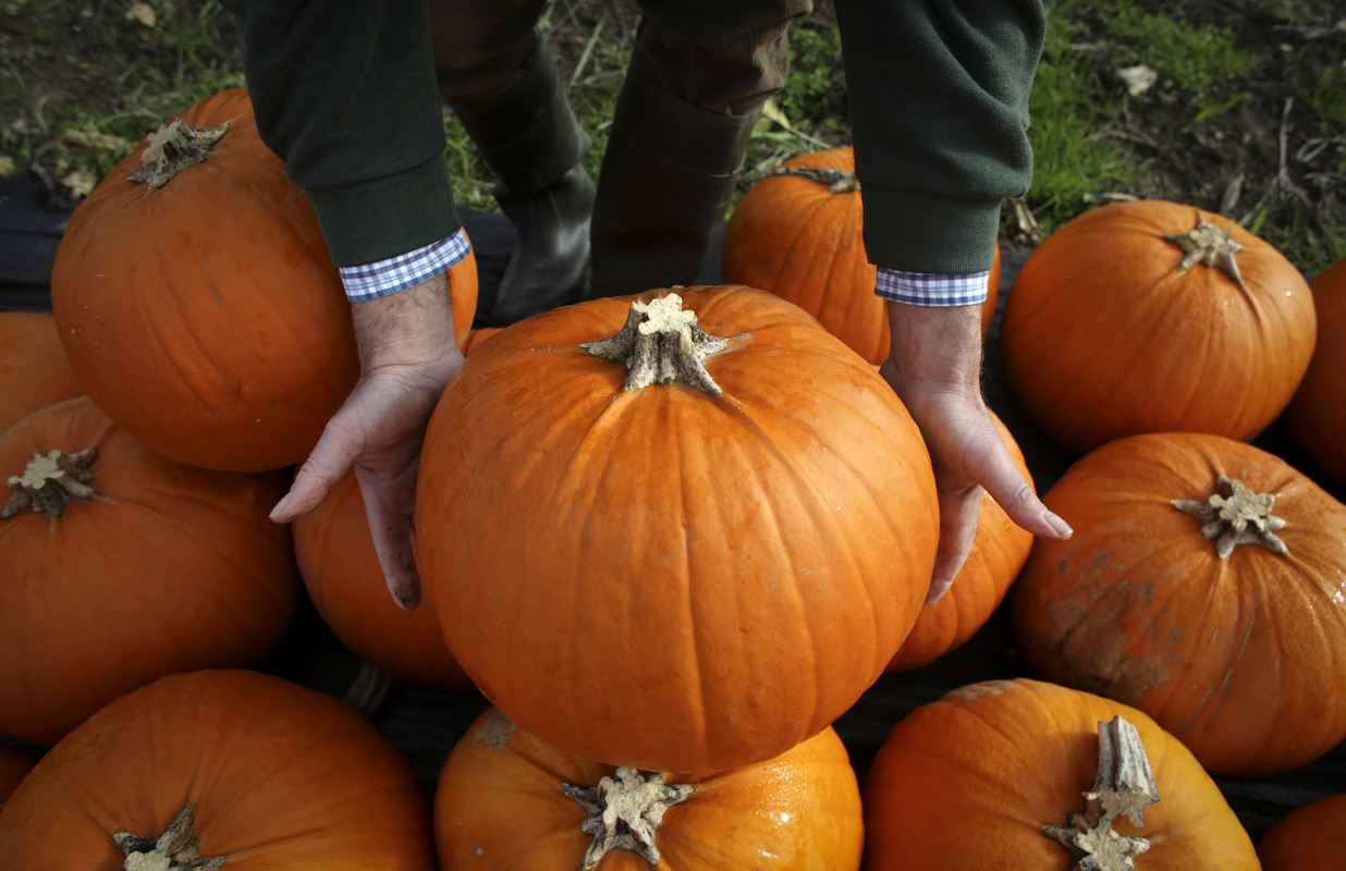 Zucca: il super alimento d’autunno