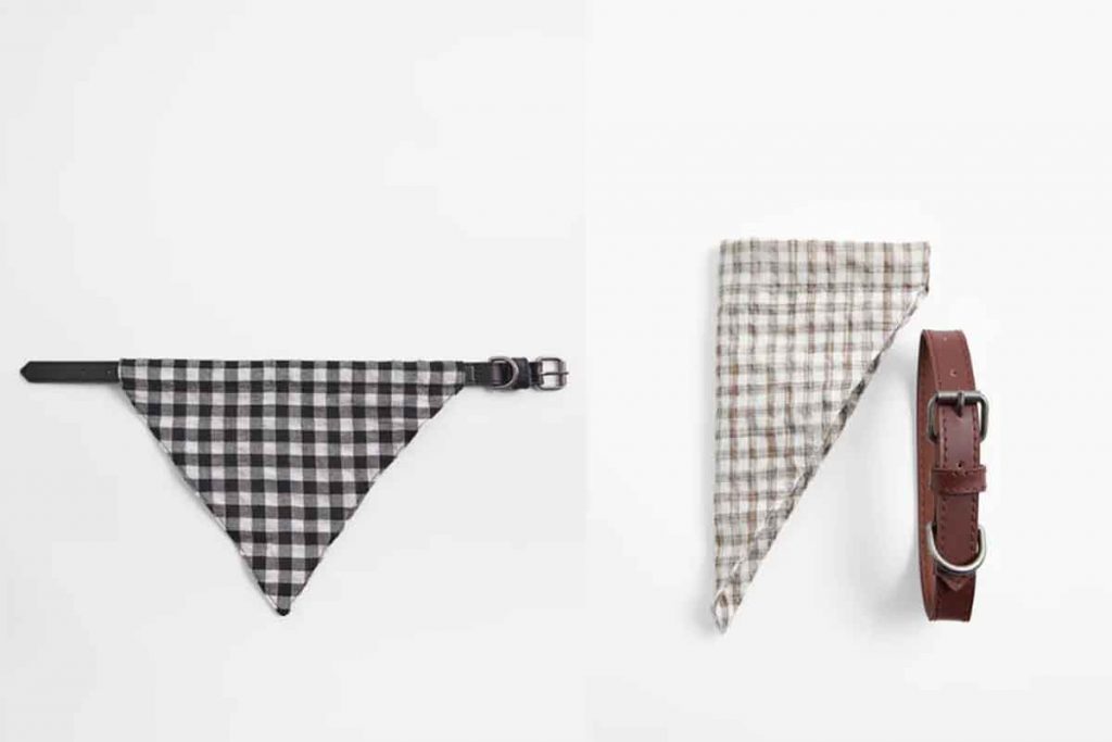 collare bandana