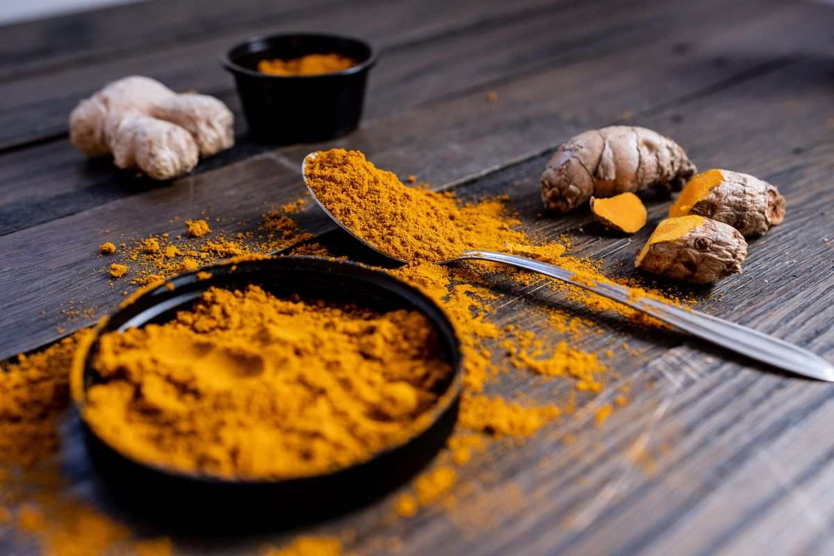 curcuma in polvere e intera