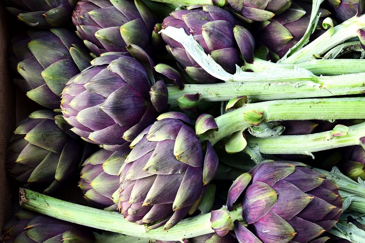È tempo di carciofi: le ricette più buone, i benefici per la linea e come coltivarli