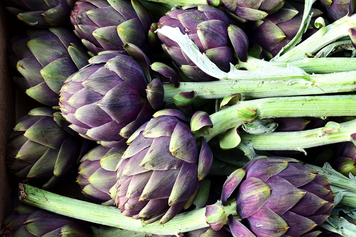 È  tempo di carciofi: le ricette più buone, i benefici per la linea e come coltivarli