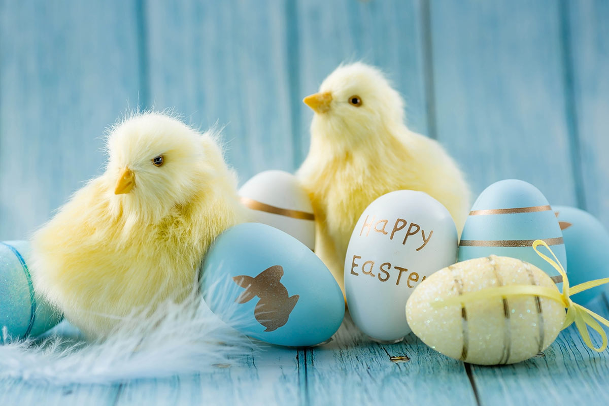 Immagini di buona Pasqua, le più belle e originali da condividere