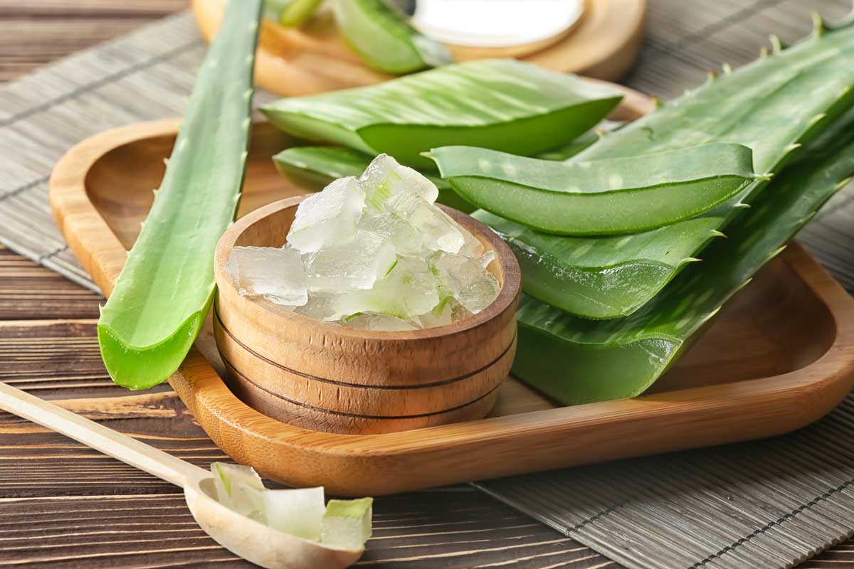 Aloe vera: tutti i cosmetici fai da te da preparare