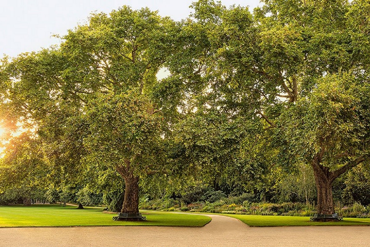 La Regina Elisabetta svela i giardini di Buckingham Palace: si potrà fare il picnic