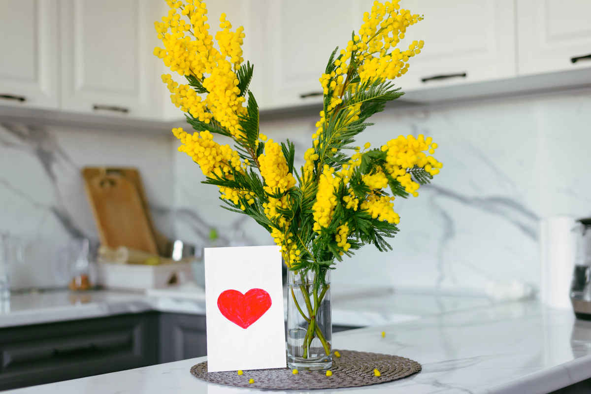 vaso di mimose festa della donna