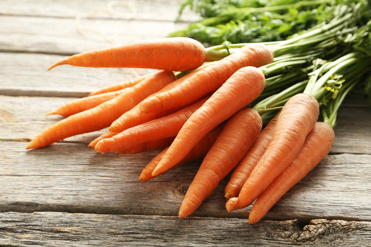 8 ricette con le carote lesse: le migliori