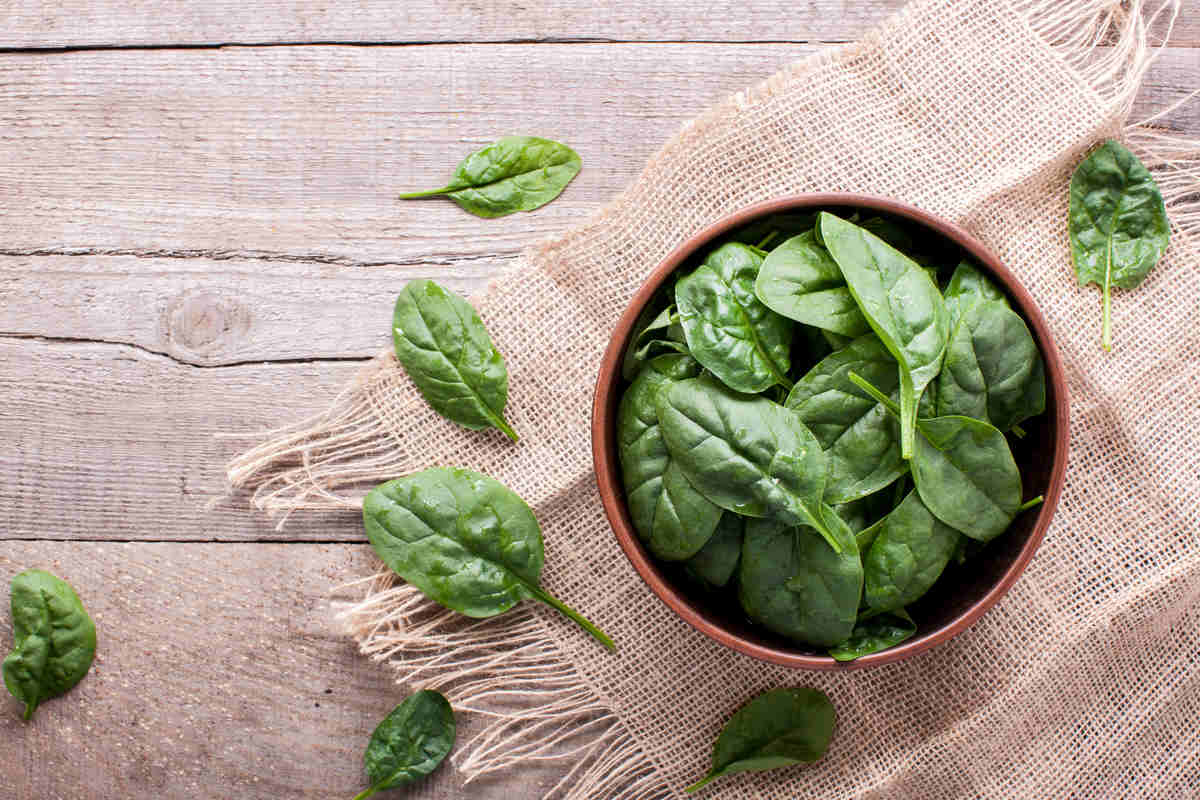 foglie di spinaci dentro un recipiente