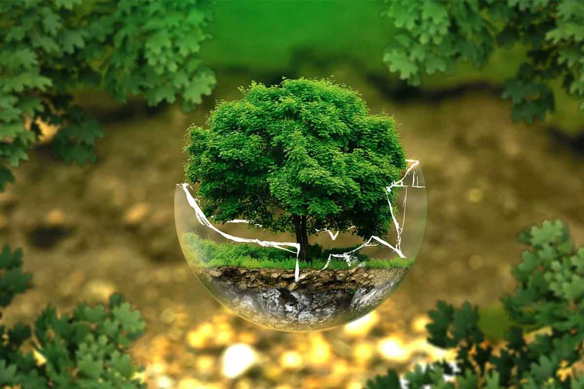 Greenwashing: se lo conosci, lo eviti. Non solo nella Giornata mondiale della Terra