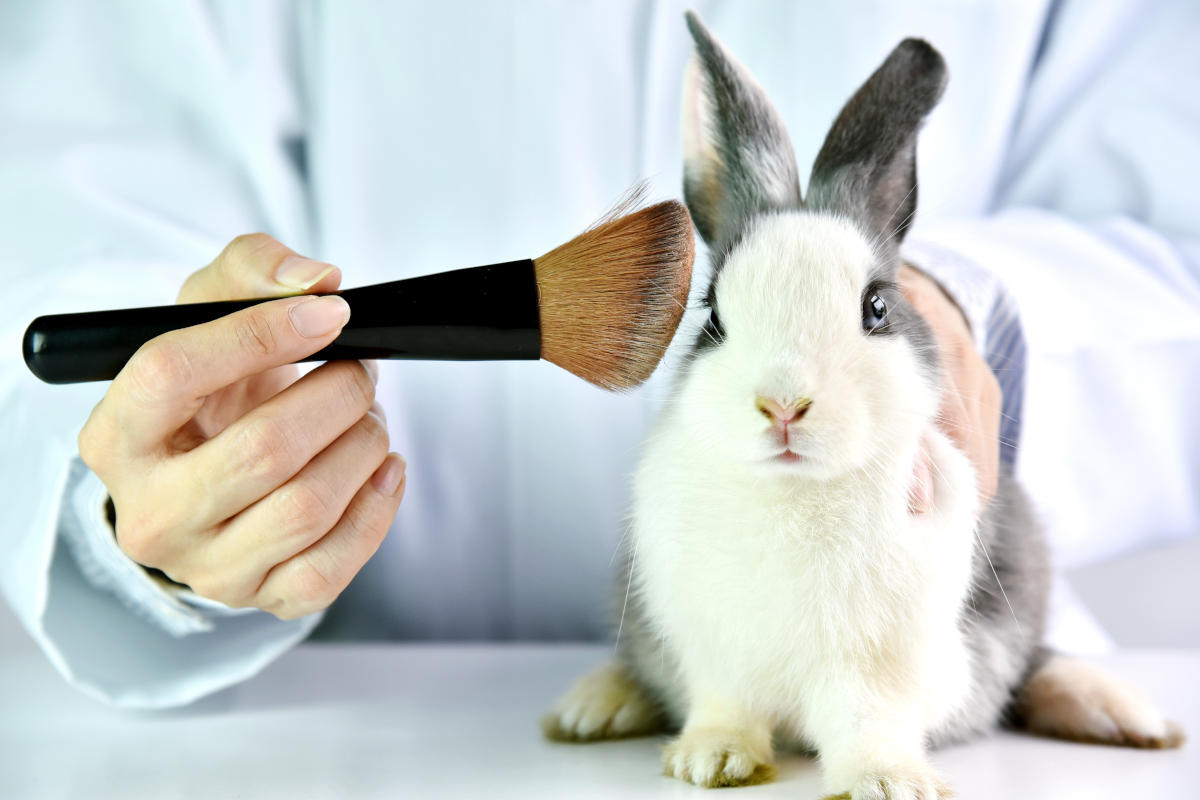 coniglio e pennello bellezza marchi cruelty free