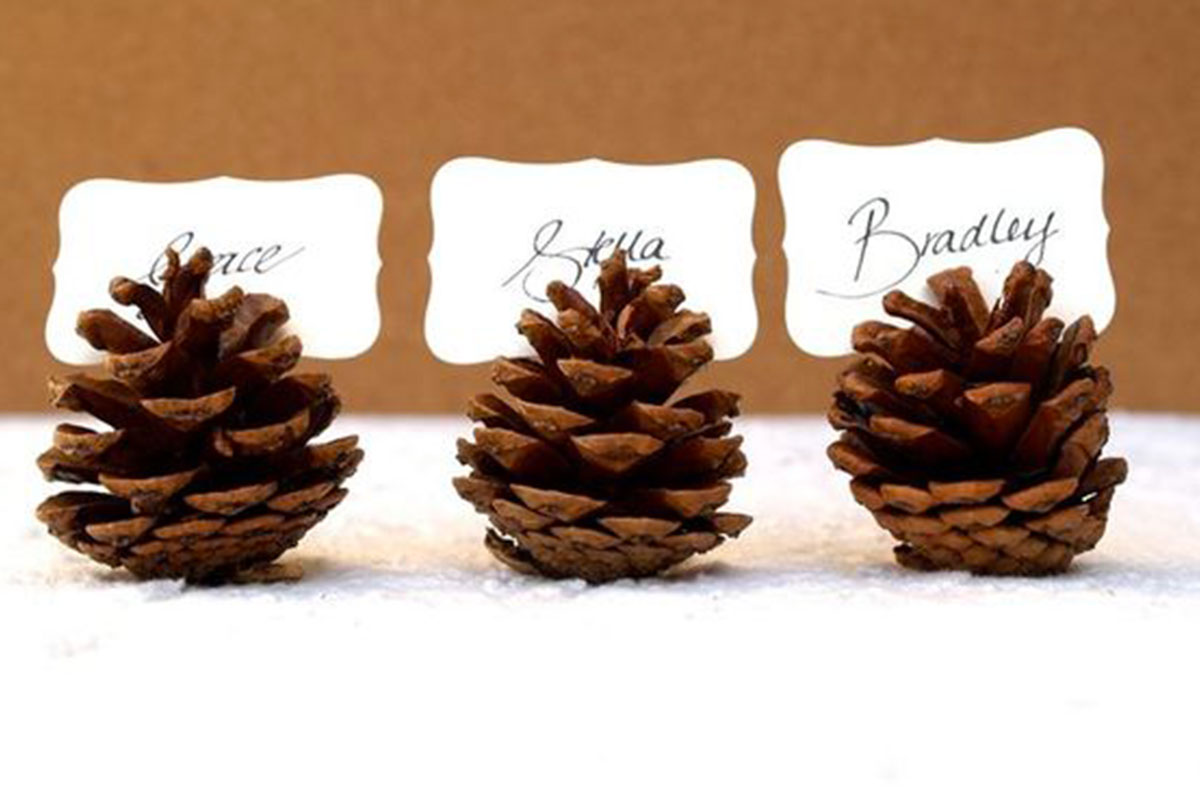 Set 10 Rami Di Pino Rosso Natalizi - Con Pigne, Per Decorazioni Artigianali E Centrotavola