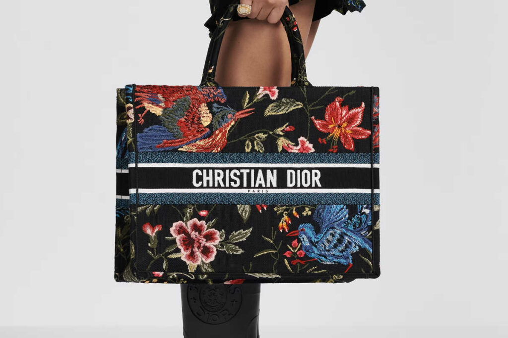 Dior Book Tote Club