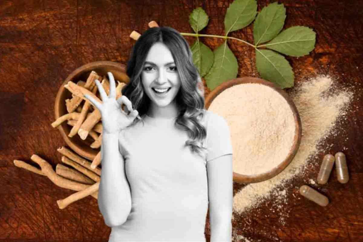 Ashwagandha, il rimedio naturale dalle mille proprietà benefiche: tutto sul ‘ginseng indiano’