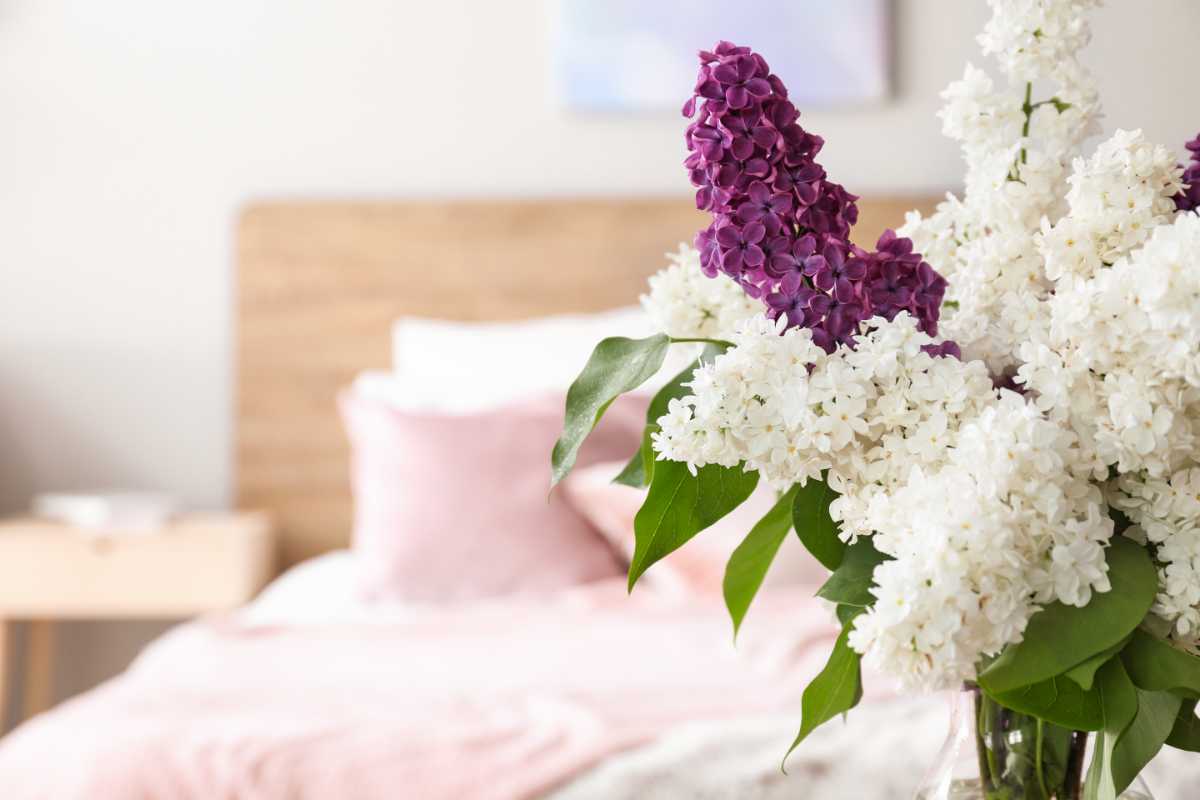 Piante e fiori in camera da letto: si possono tenere? Come scegliere quelle più adatte e quali benefici hanno