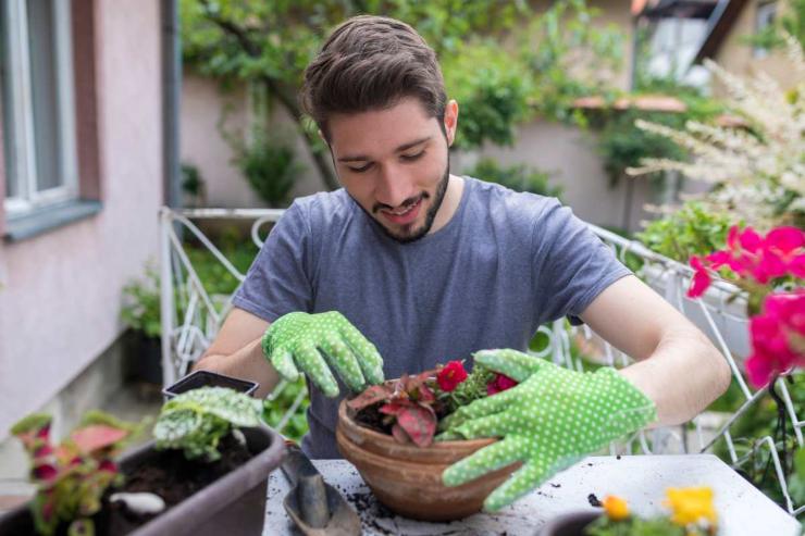 Cosa piantare a giugno