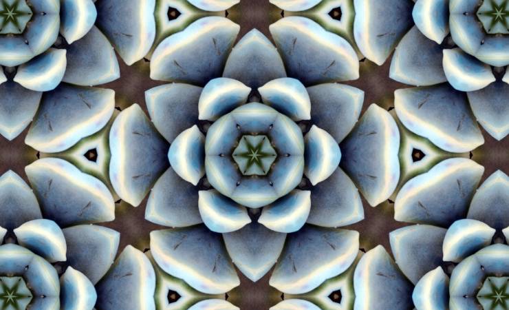 Test mandala, scopri perché sei insoddisfatto