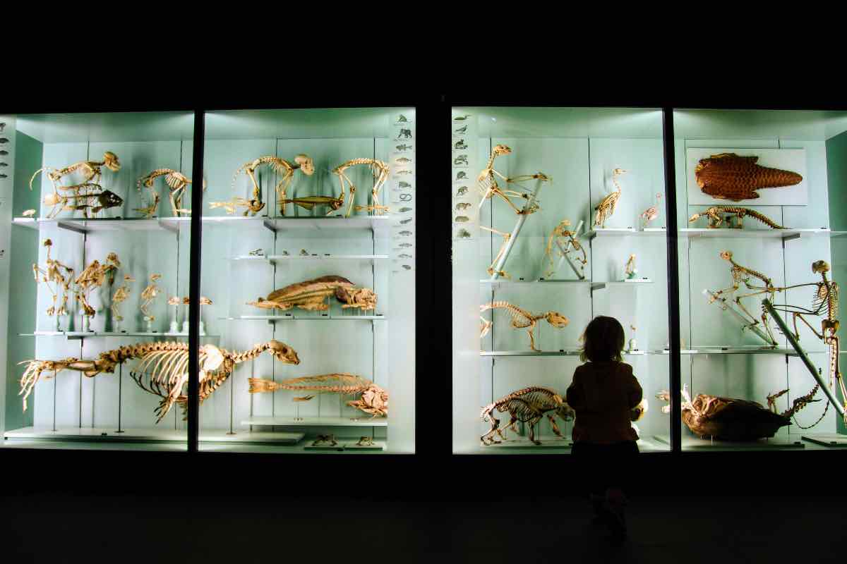 I migliori musei per bambini nel mondo, da visitare in vacanza