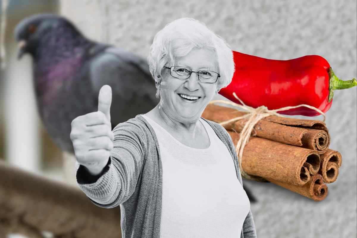 Peperoncino e cannella per dire addio ai piccioni dal balcone: l’efficace rimedio della nonna