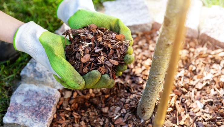 Come creare delle aiuole per il giardino