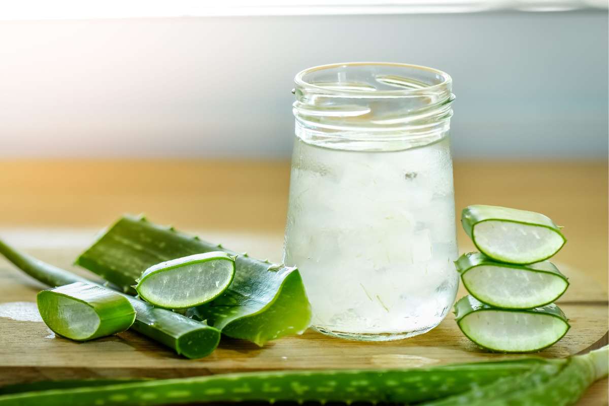 Aloe vera da bere, i benefici per salute e bellezza