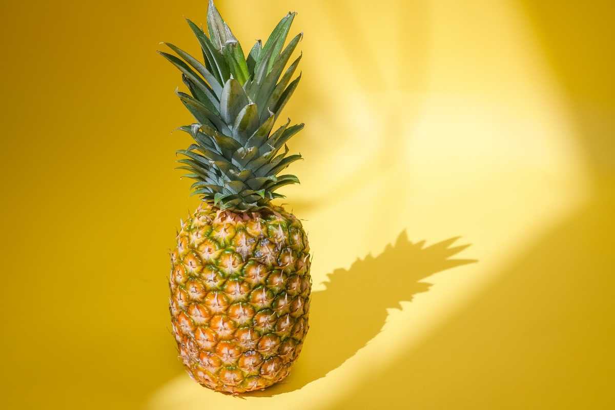 L’ananas non brucia i grassi, ma ha altre proprietà: da dove nasce la “falsa credenza”