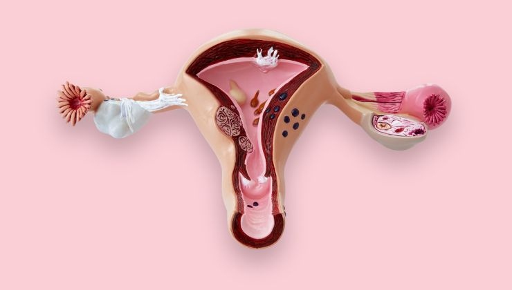 come capire quando inizia il ciclo mestruale