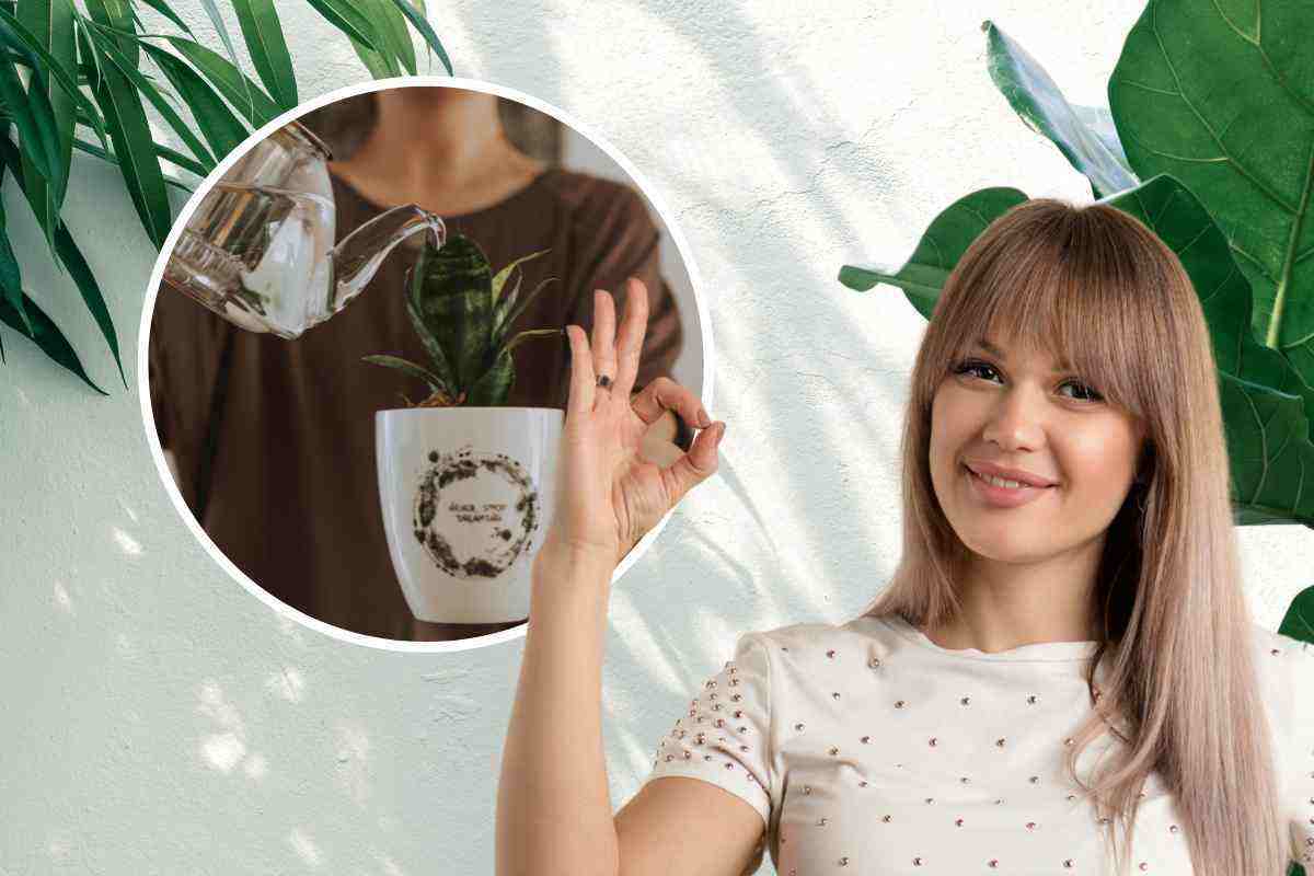 Piantine in tazza, l’idea perfetta per una bomboniera economica e creativa