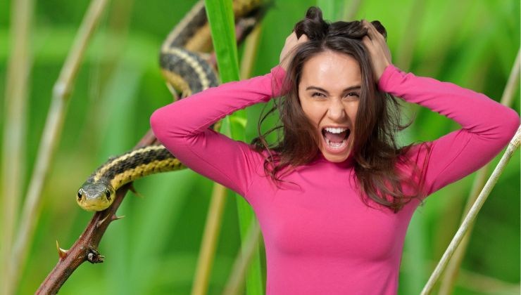 Come preparare un repellente naturale per serpenti
