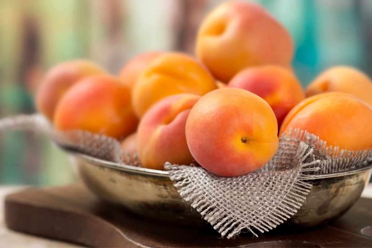 A Giugno sono irrinunciabili: tutto ciò che c’è da sapere sulle albicocche, benefici e curiosità