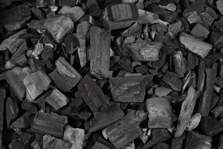 Segreti e usi del carbone vegetale