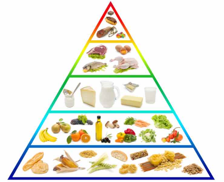 invecchiamento cerebrale dieta