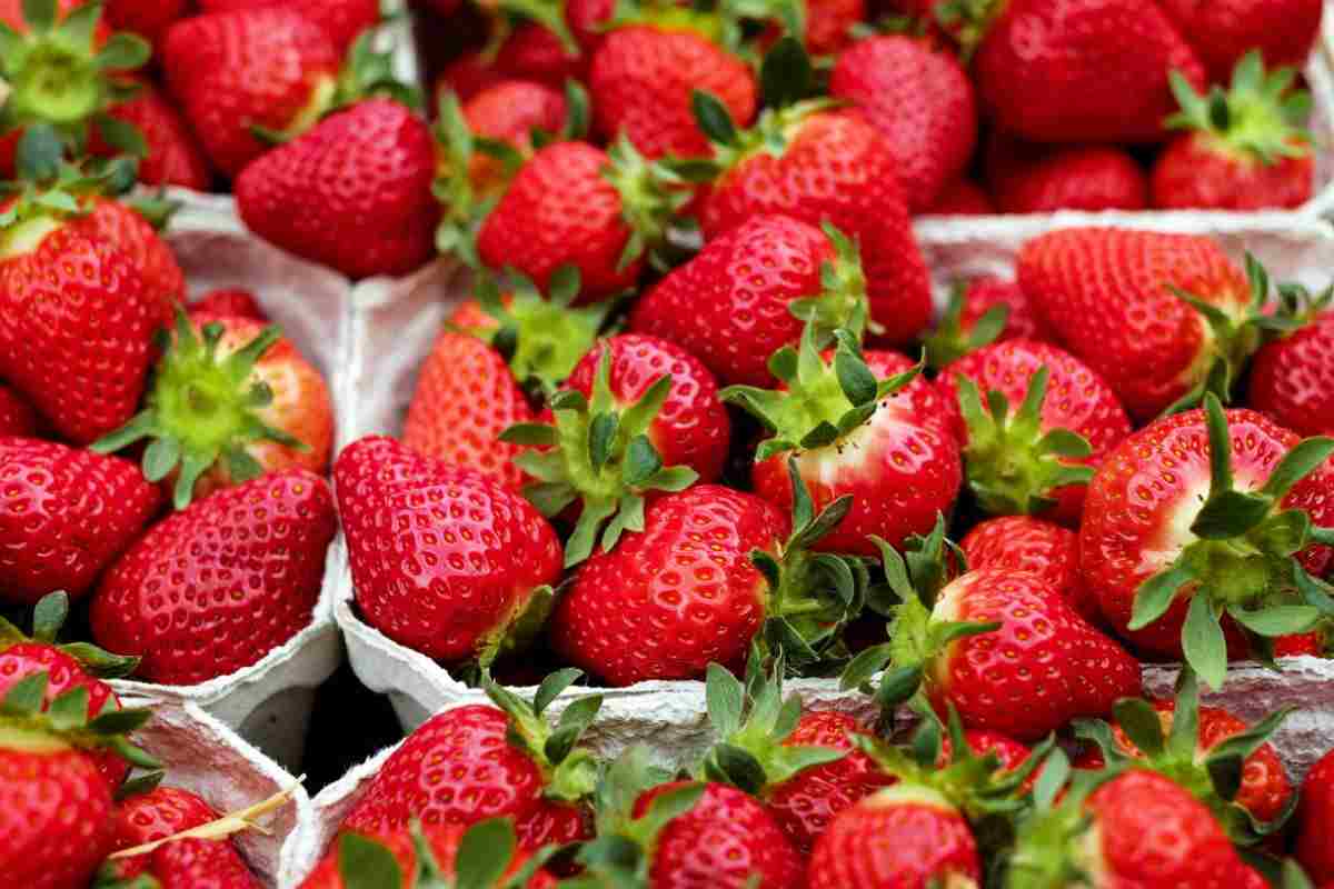 Le fragole sono il frutto dell’estate: come eliminare completamente i pesticidi e non correre rischi per la salute