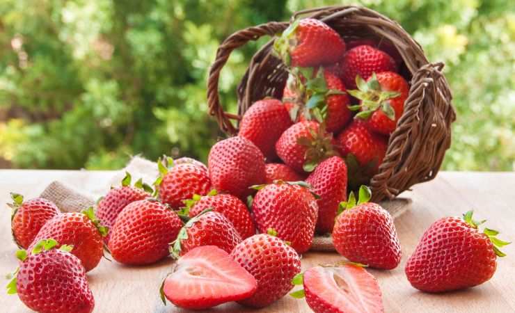 come preparare la crema alla fragola