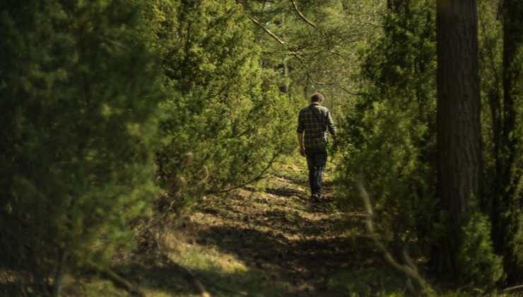 Meditazione in movimento: come rilassarsi camminando
