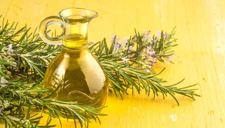 i benefici dell'olio al rosmarino