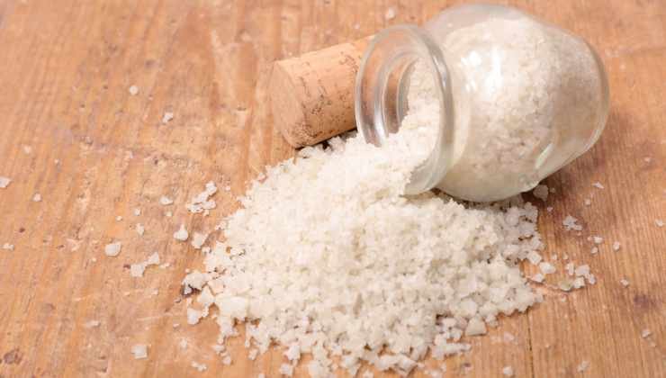 Sale grosso, come utilizzarlo per pulire bicchieri