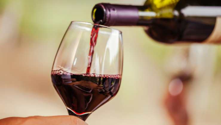 i benefici del consumo moderato di vino