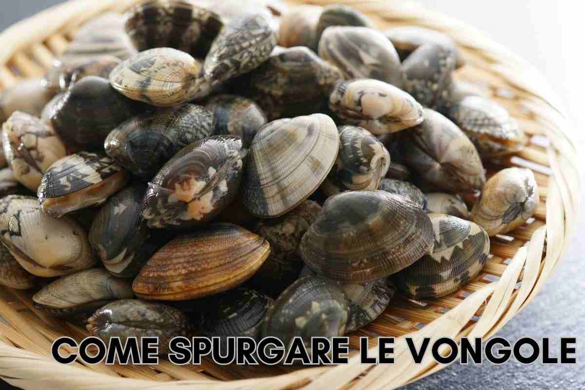 Come pulire e spurgare le vongole dalla sabbia