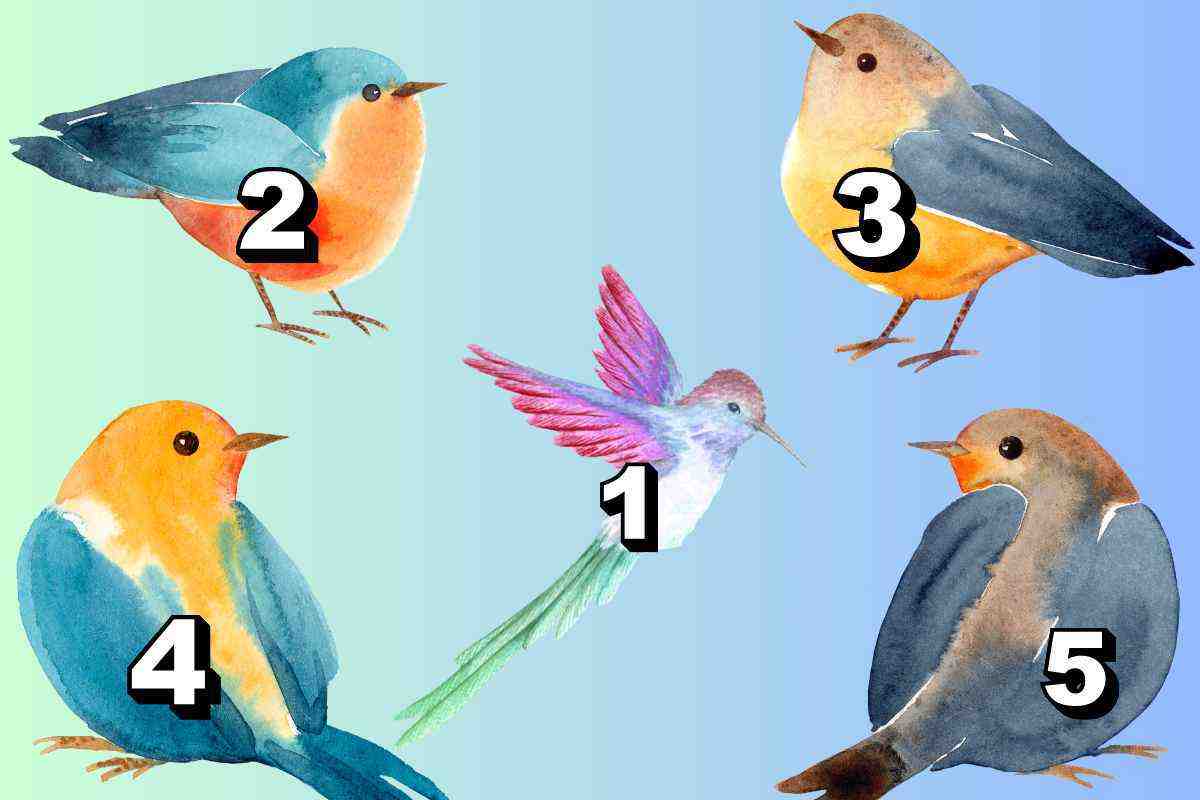 Scegli l’uccellino che ti colpisce per primo e scopri come vivi (realmente) i tuoi sentimenti