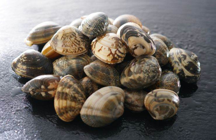 Come spurgare le vongole