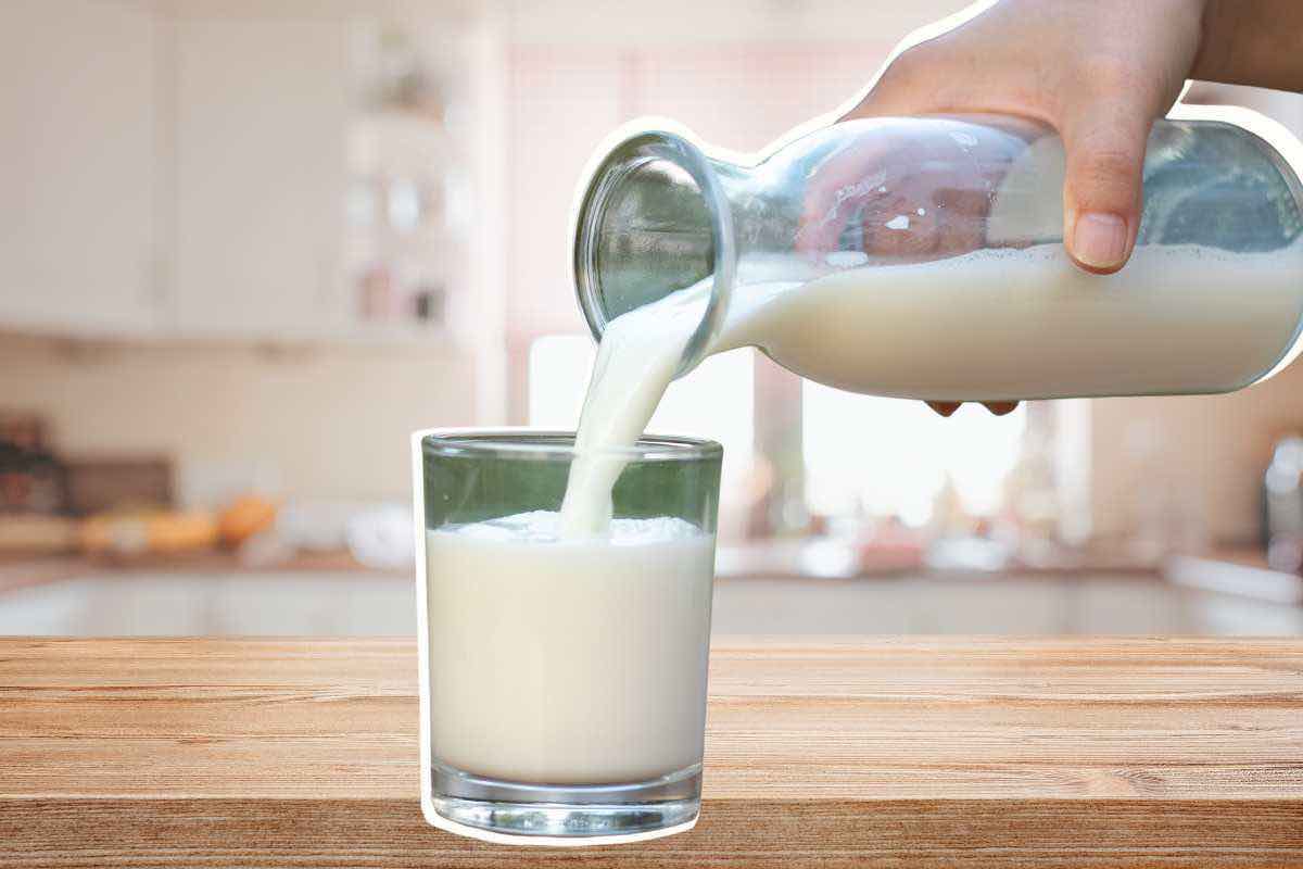 Latte vegetale, tutte le proprietà e quali sono i migliori sostitutivi del latte