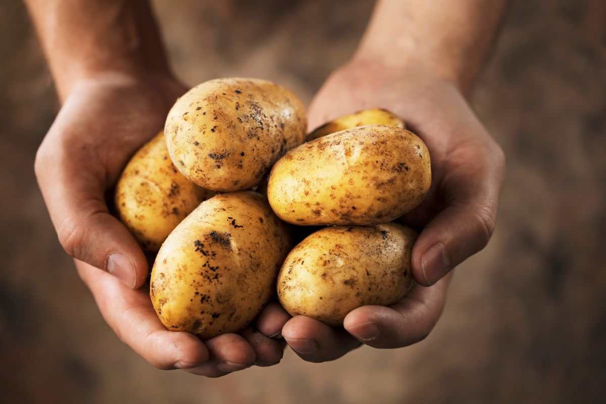 Patate, meglio mangiarle con la buccia: i benefici e le proprietà di questo ed altri alimenti