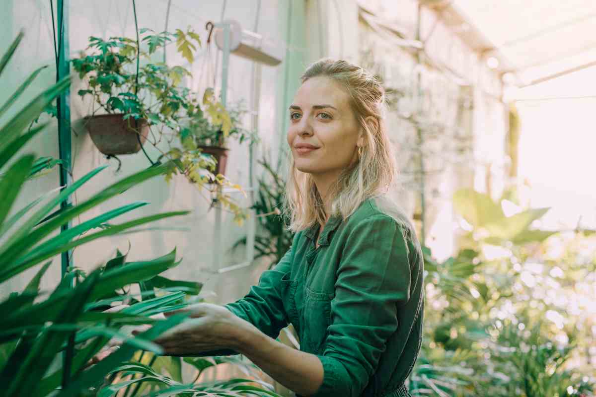 Terrazza o balcone pieni di sole: con queste piante diventano uno spettacolo