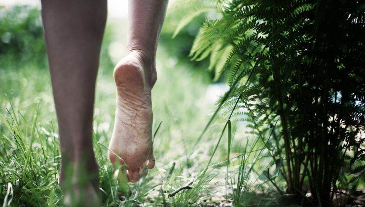 che cos'è il barefooting