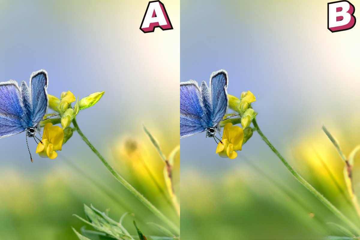 Due immagini che sembrano identiche, ma nascondono delle differenze: sei in grado di trovarle in 60 secondi?